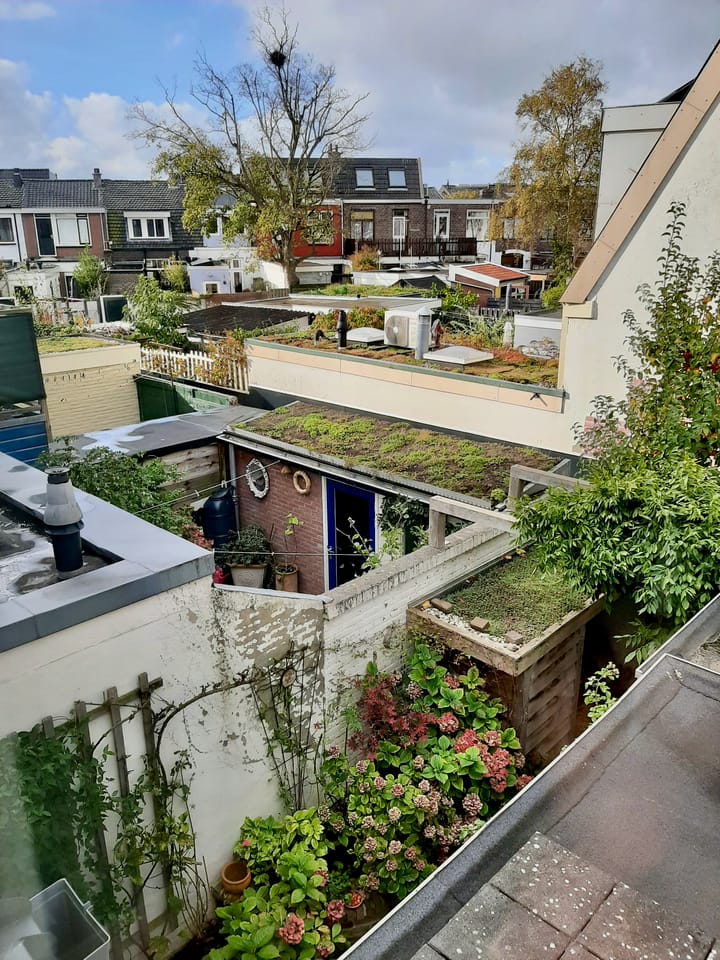 Foto 22 van Gashouderstraat 31