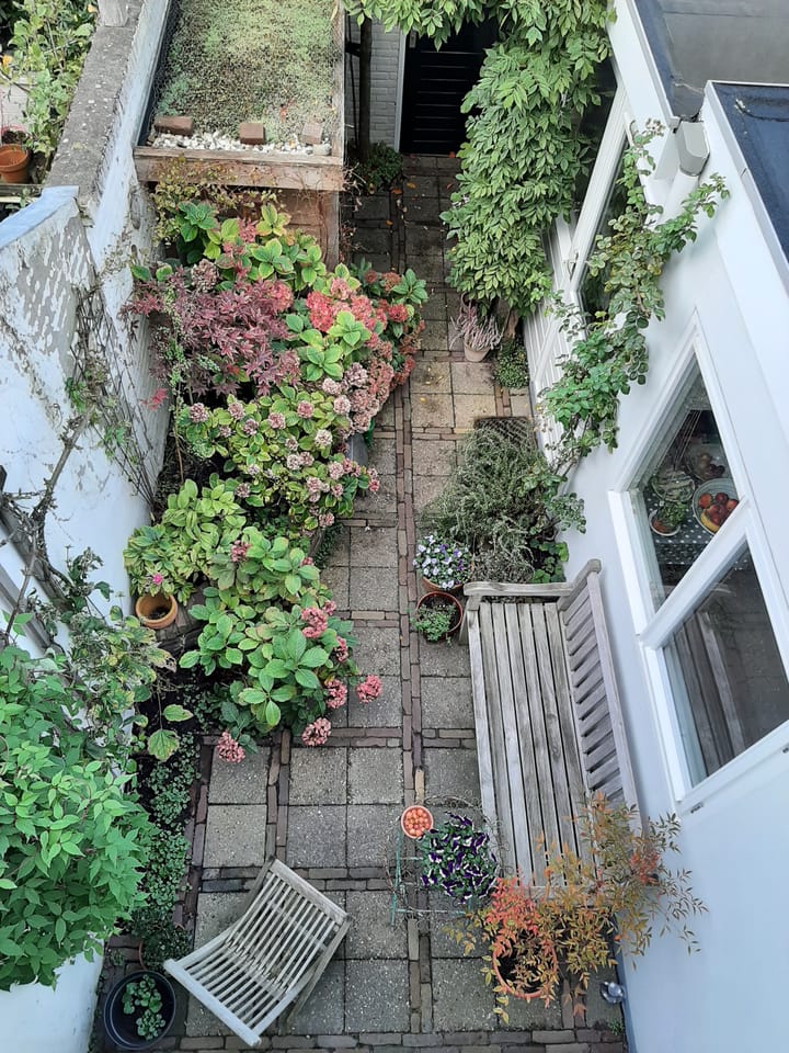 Foto 23 van Gashouderstraat 31