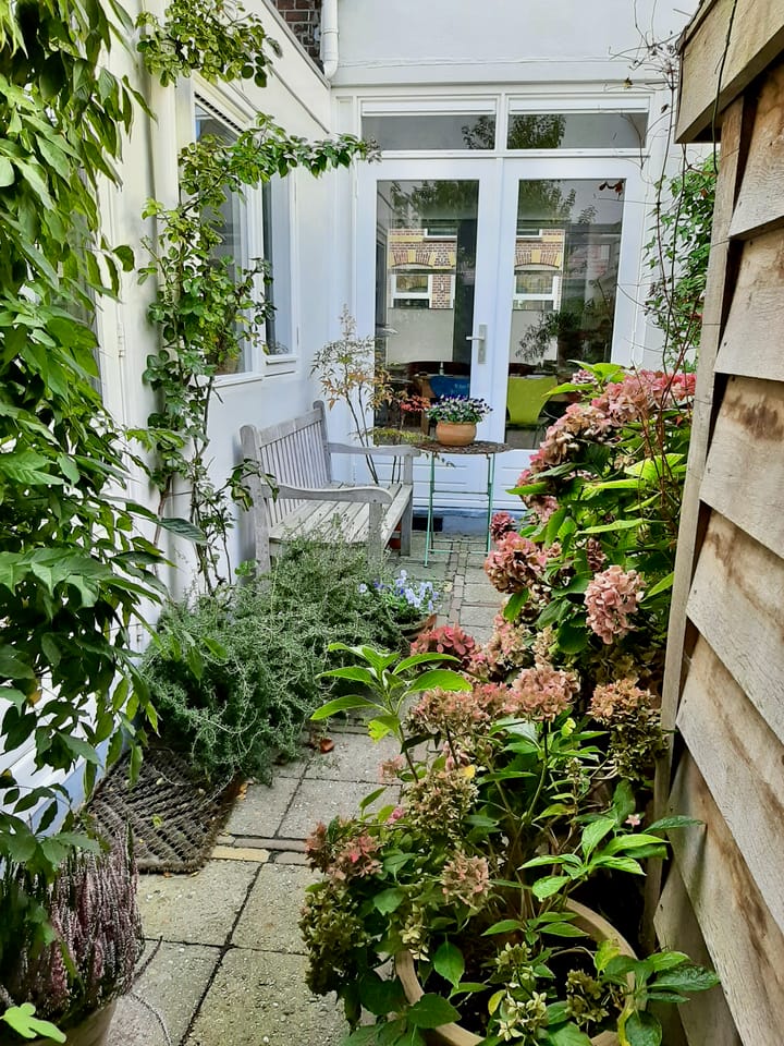 Foto 24 van Gashouderstraat 31