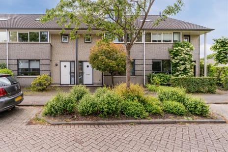 undefined main image