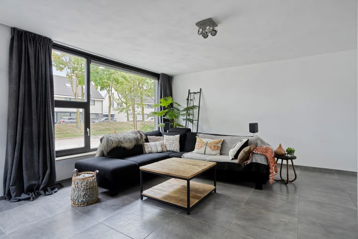 Foto 6 van Vingerhoedskruid 43