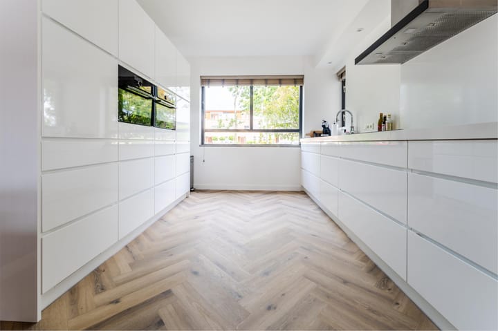 Foto 13 van Orion 19