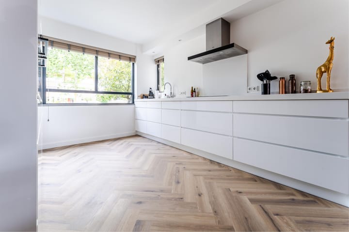 Foto 14 van Orion 19