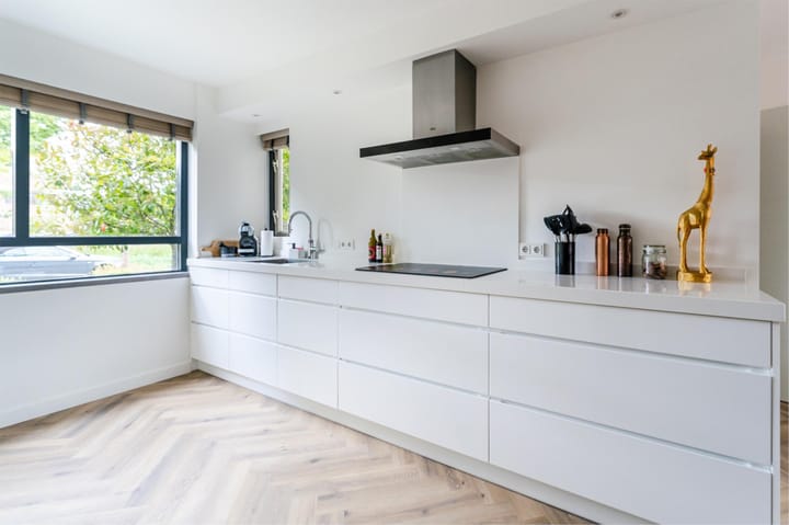 Foto 15 van Orion 19