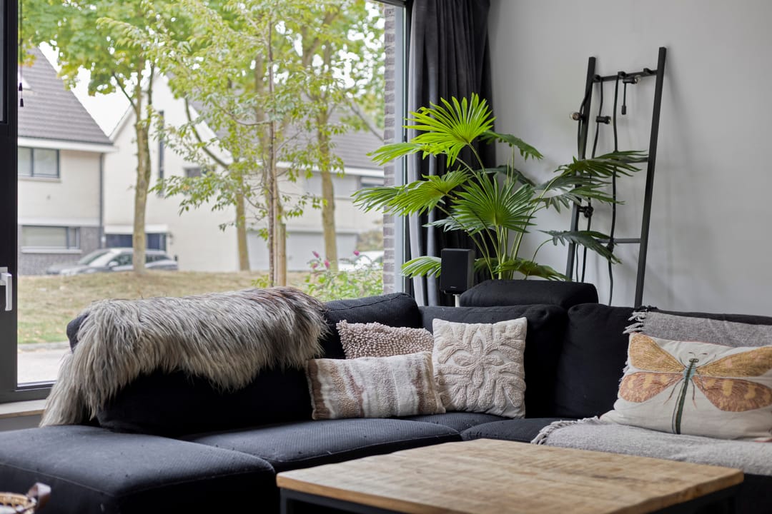 Photo 8 of Vingerhoedskruid 43