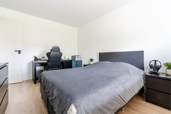 Foto 26 van Orion 19