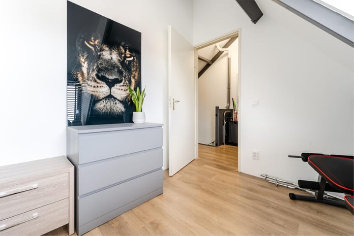 Foto 39 van Orion 19