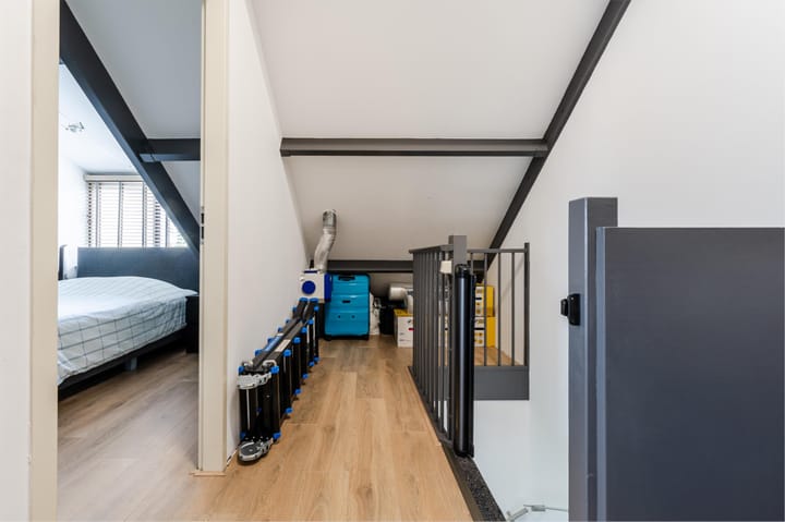 Foto 40 van Orion 19