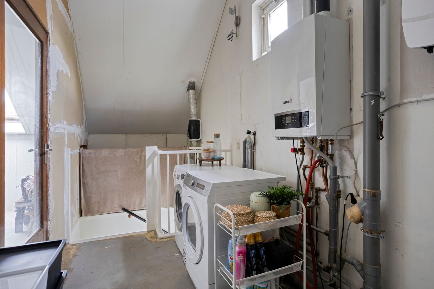 Photo 25 of Vingerhoedskruid 43