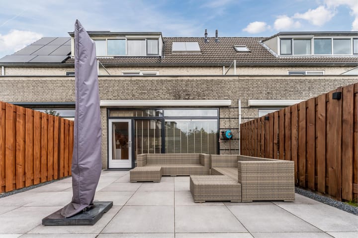 Foto 45 van Orion 19