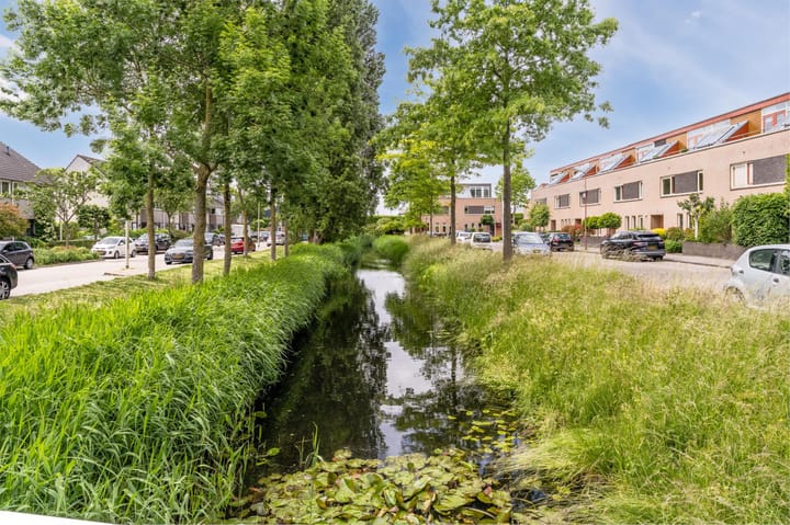 Foto 47 van Orion 19