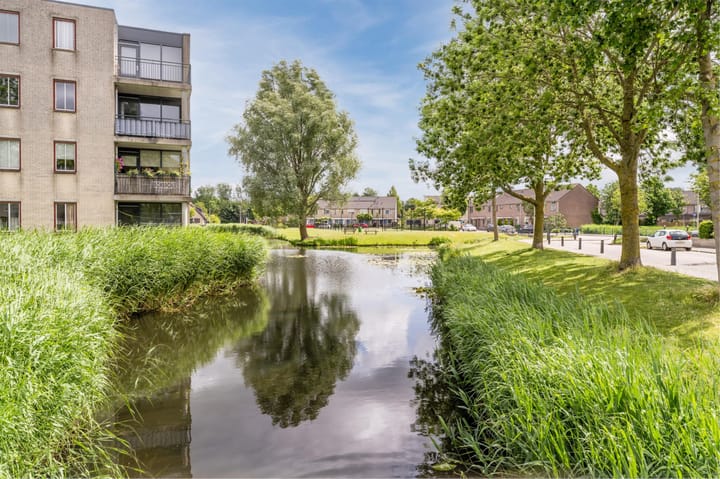 Foto 48 van Orion 19