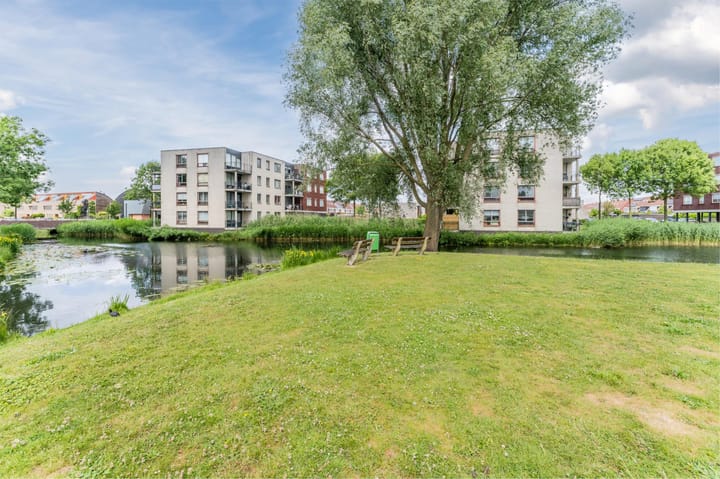 Foto 49 van Orion 19