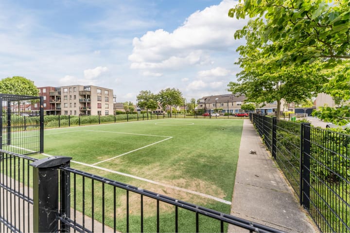 Foto 50 van Orion 19