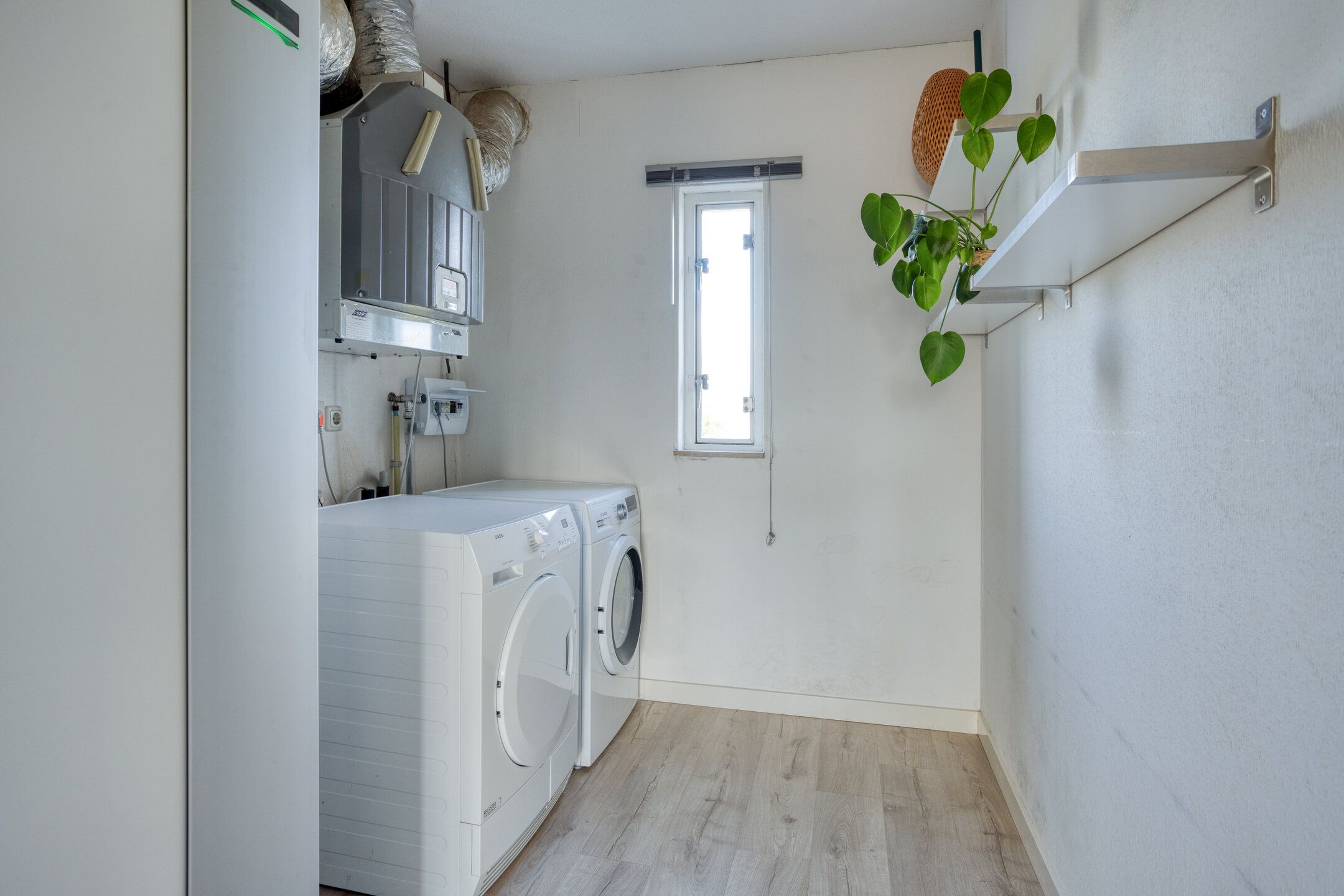 Photo 33 of Zilvermos 30