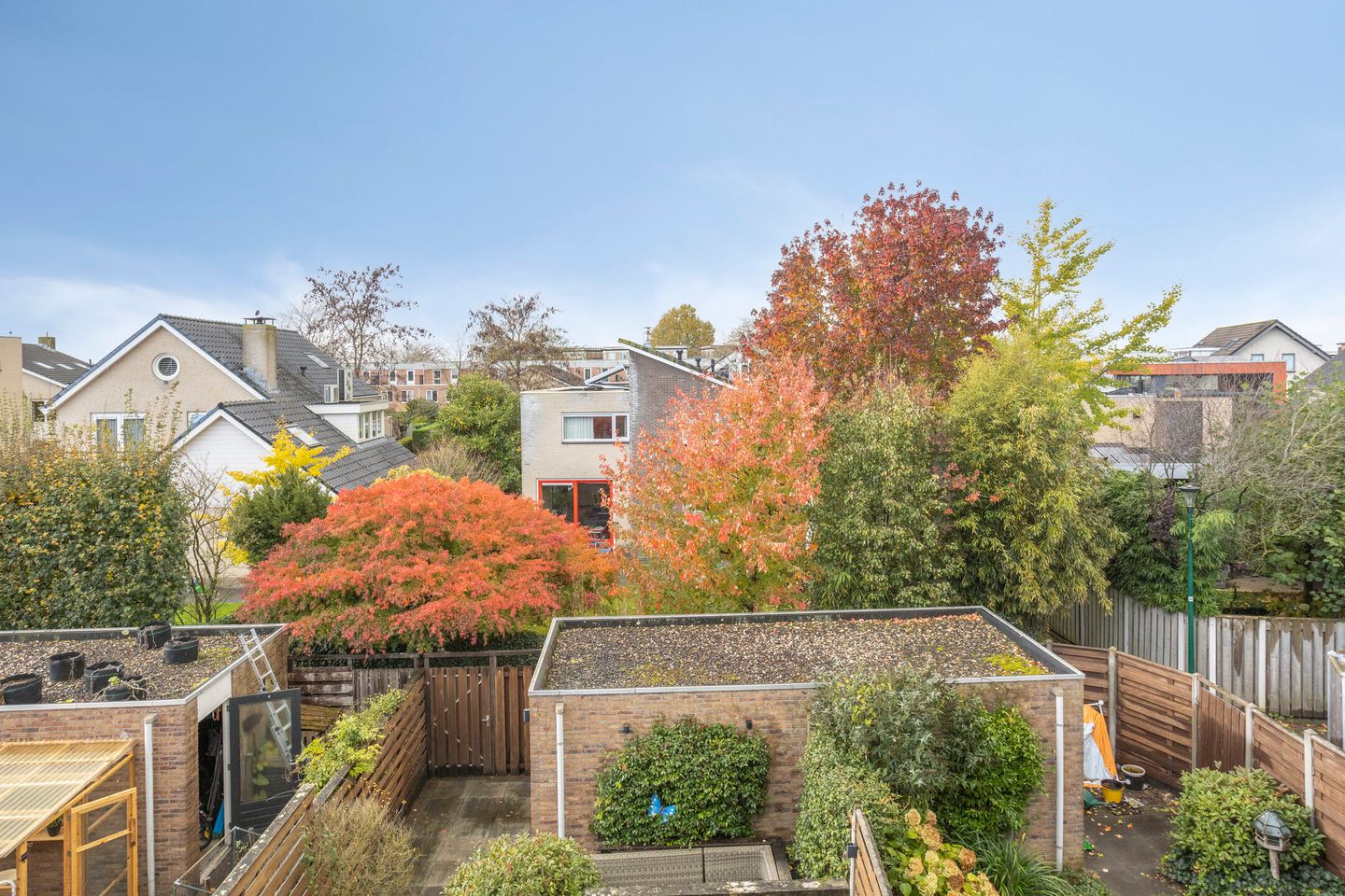 Photo 35 of Zilvermos 30