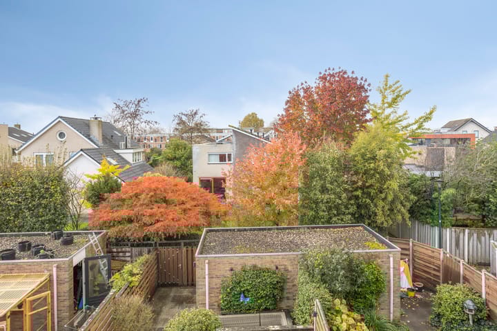 Foto 35 van Zilvermos 30