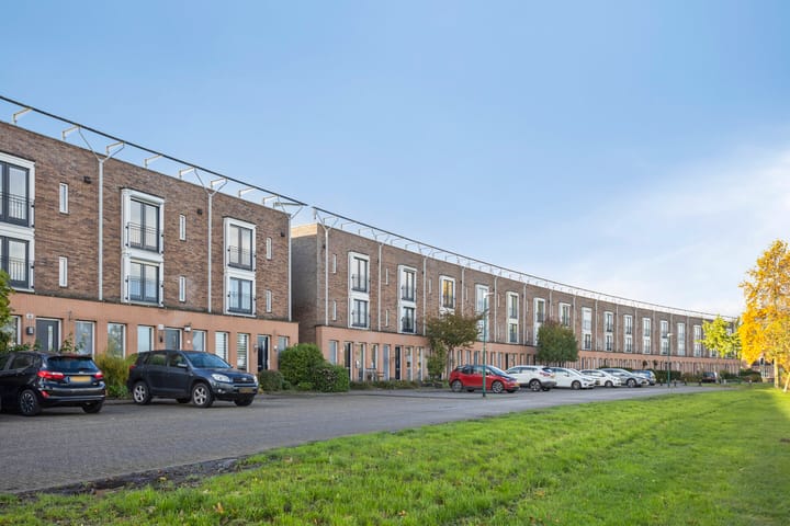 Foto 41 van Zilvermos 30