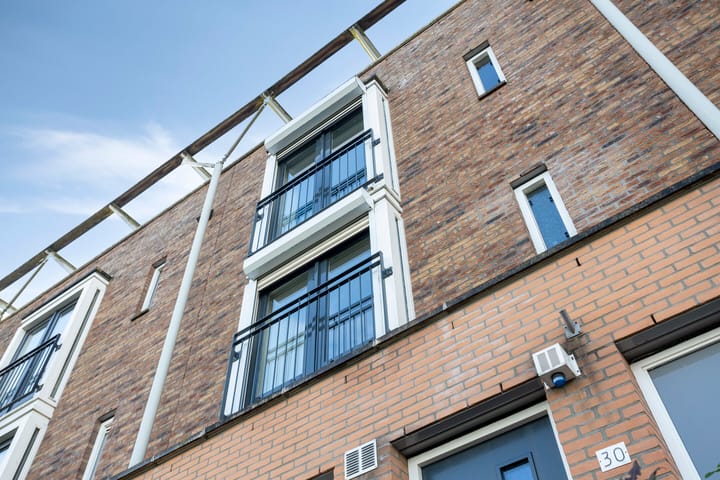 Foto 2 van Zilvermos 30