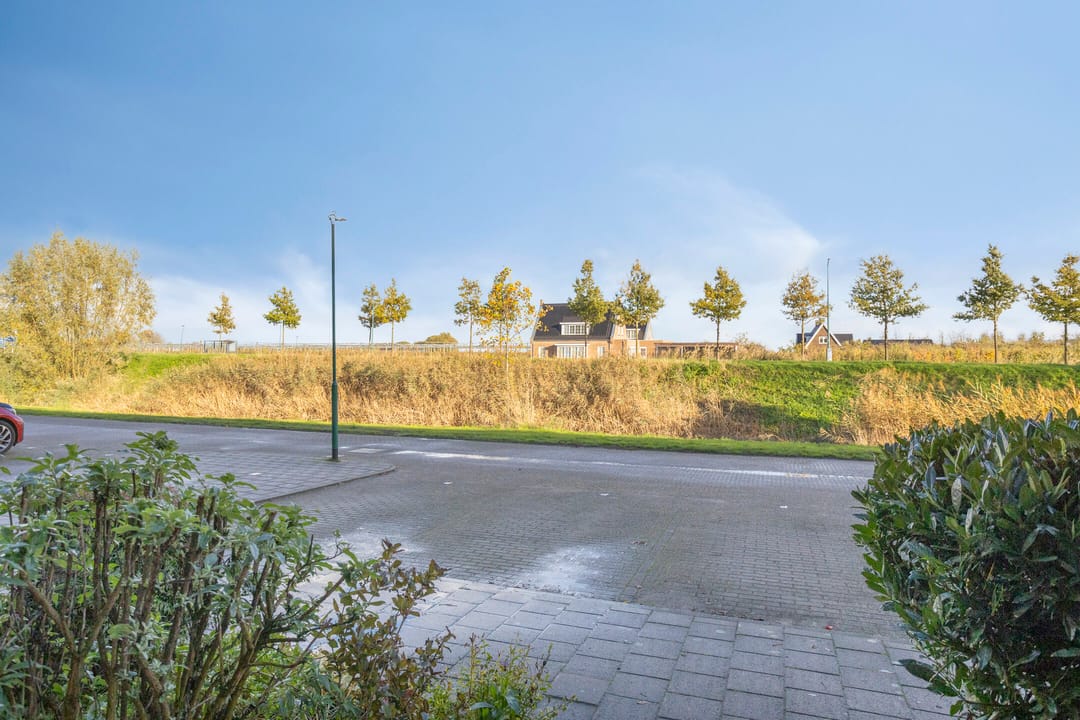 Photo 43 of Zilvermos 30