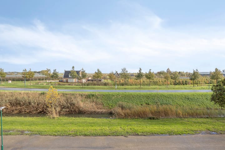 Foto 44 van Zilvermos 30