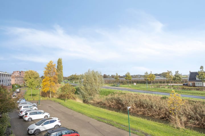 Foto 45 van Zilvermos 30