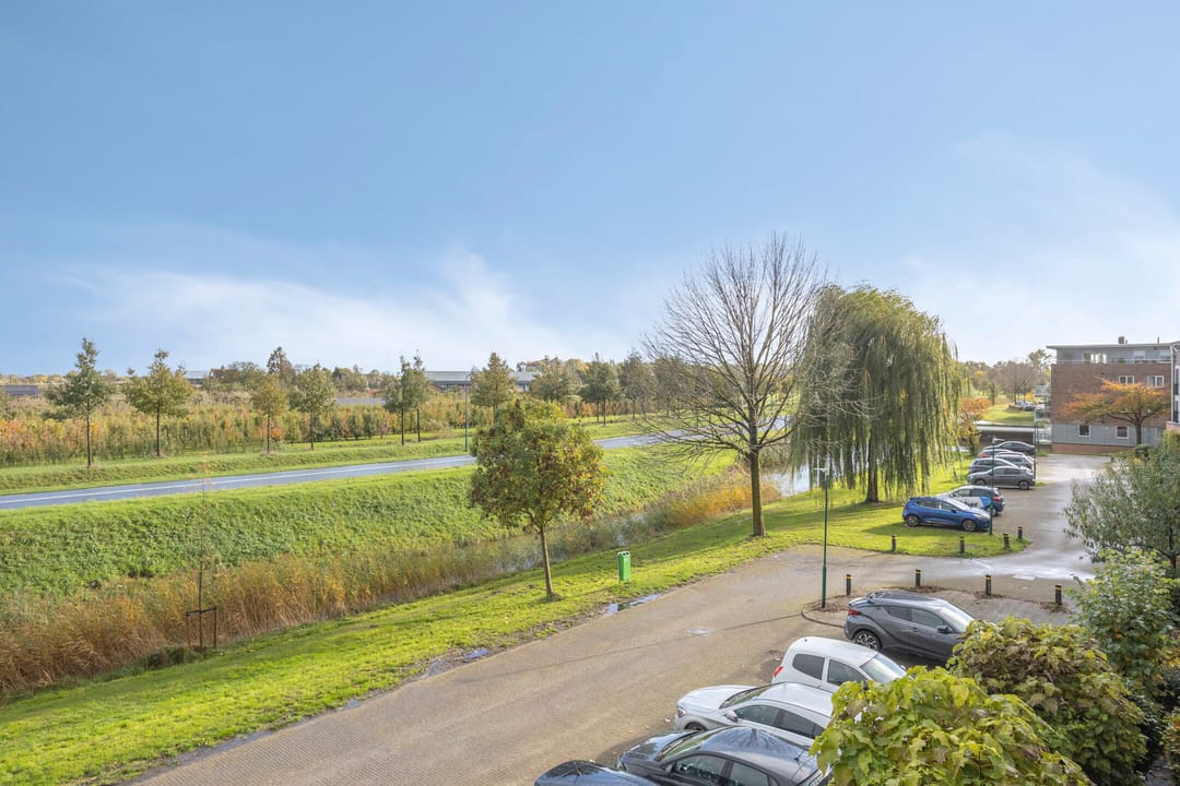 Photo 46 of Zilvermos 30