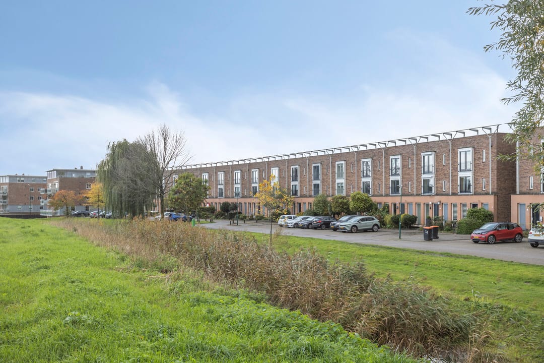 Photo 47 of Zilvermos 30