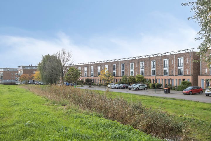 Foto 47 van Zilvermos 30