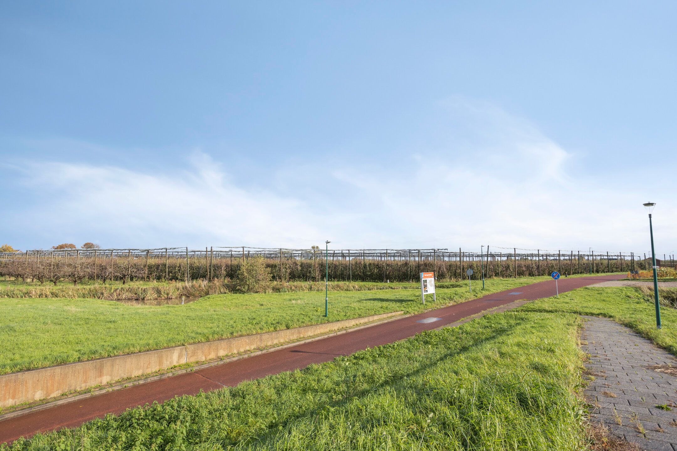 Photo 48 of Zilvermos 30