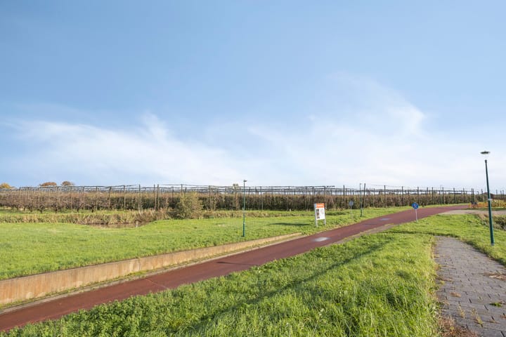 Foto 48 van Zilvermos 30