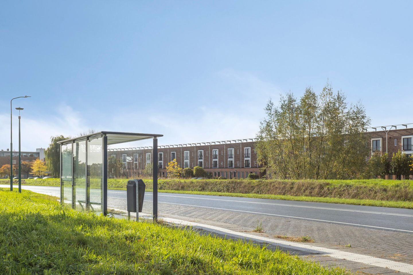 Photo 49 of Zilvermos 30