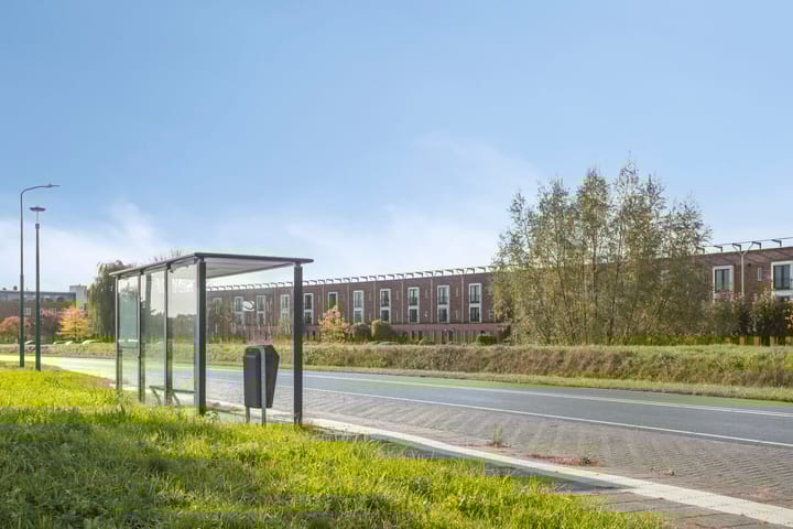 Foto 49 van Zilvermos 30