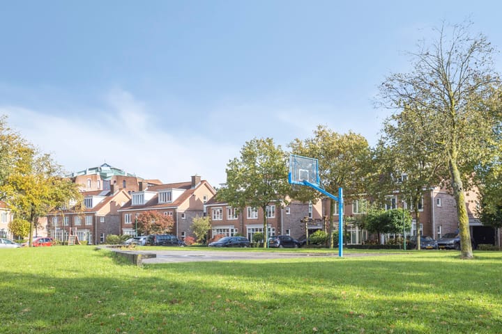 Foto 50 van Zilvermos 30