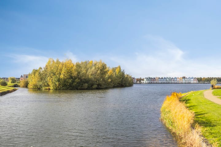 Foto 52 van Zilvermos 30