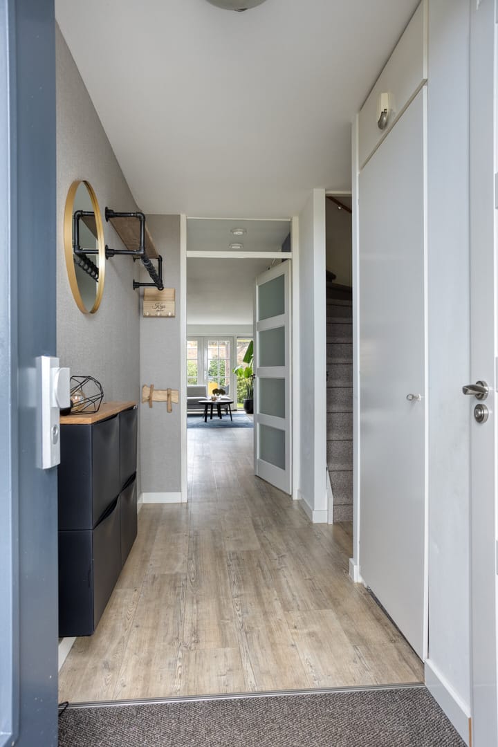 Foto 3 van Zilvermos 30