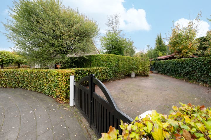 Photo 6 of Leiboom 21