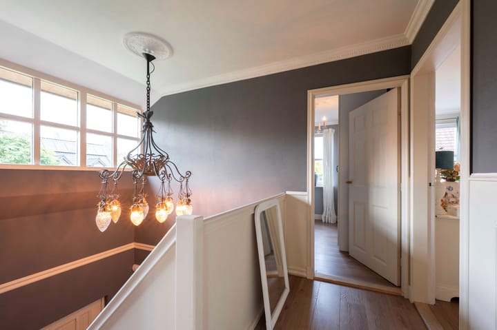 Photo 43 of Leiboom 21