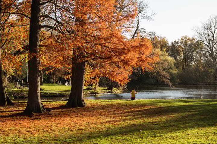 Foto 35 van Johannes Vermeerstraat 20