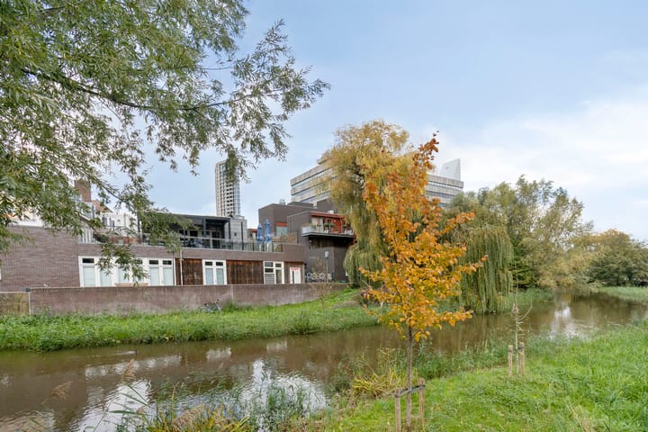 Photo 3 of Stratumseind 113