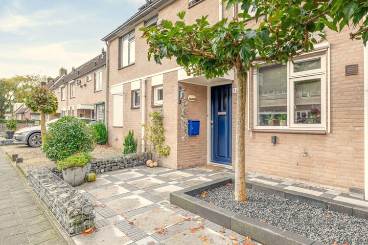 Foto 5 van Koolmees 32