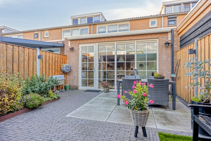 Photo 4 of Gelaarsde Kat 48