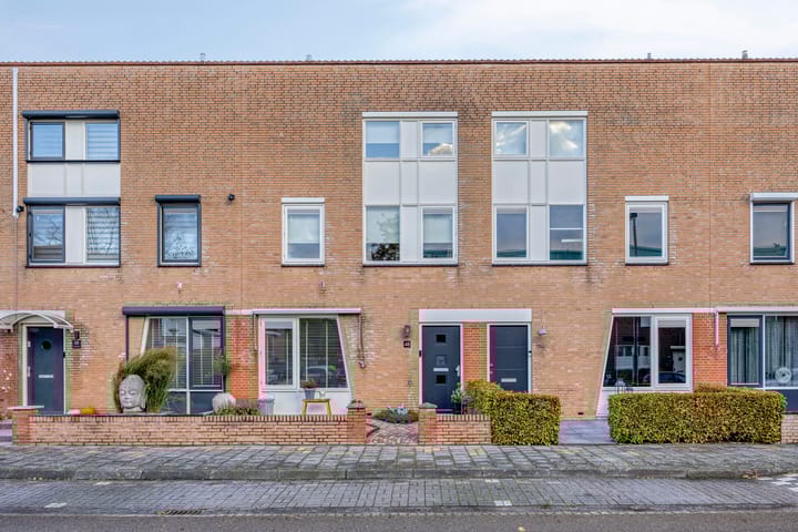 Photo 6 of Gelaarsde Kat 48