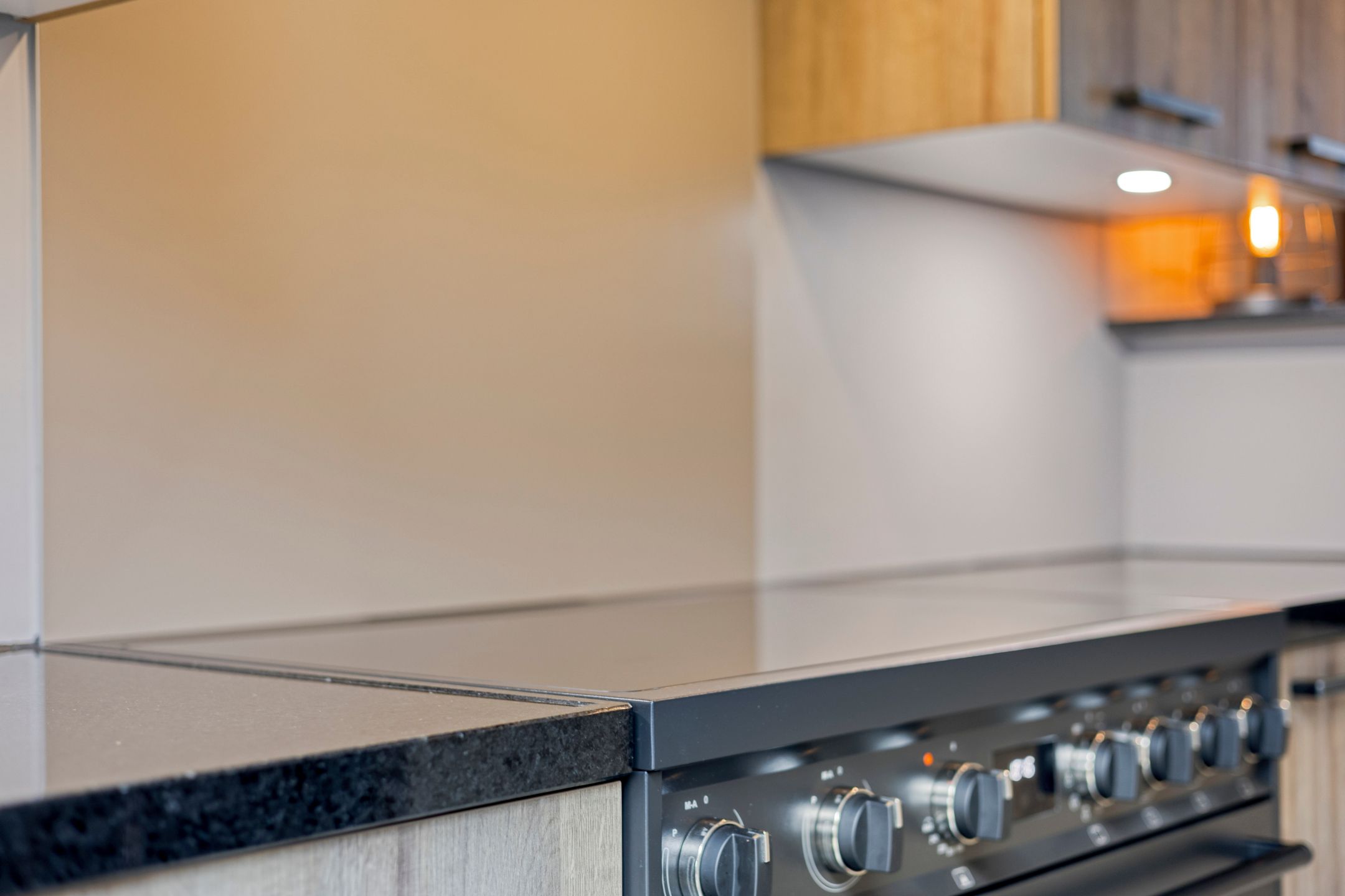 Photo 24 of Gelaarsde Kat 48