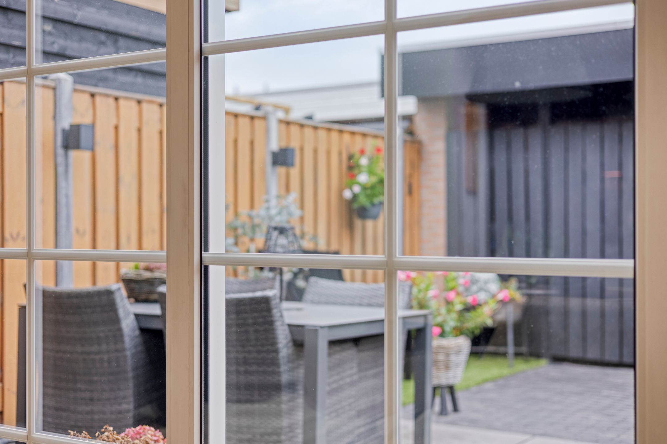 Photo 30 of Gelaarsde Kat 48