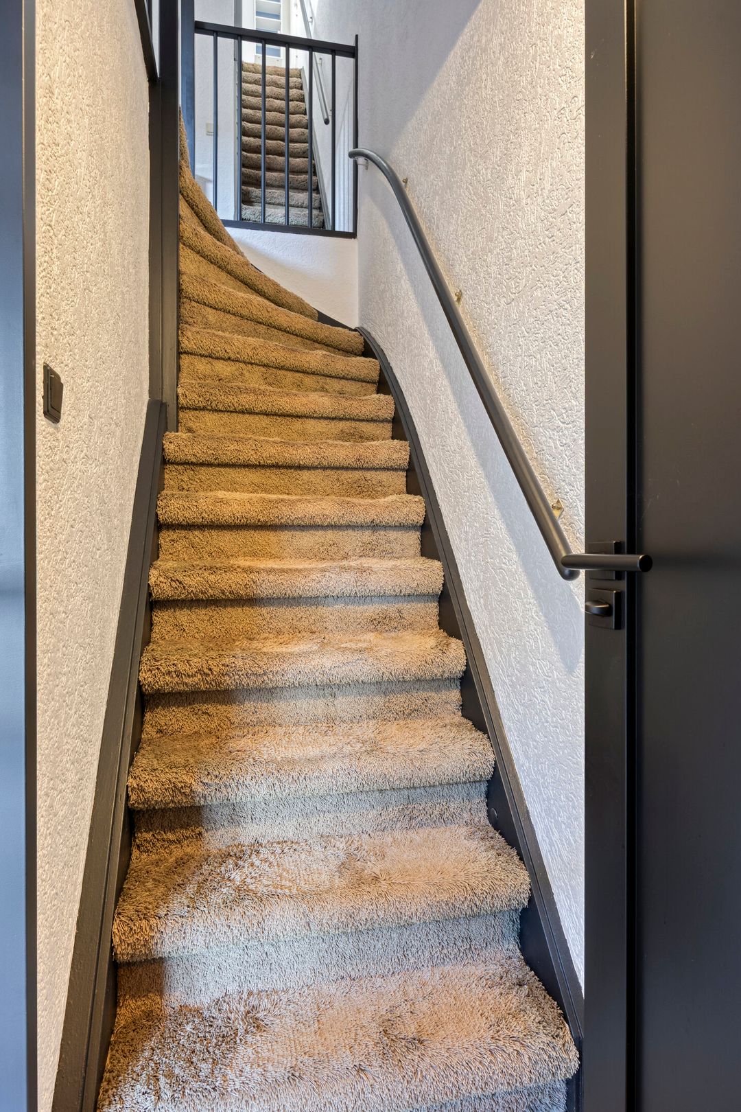 Photo 32 of Gelaarsde Kat 48