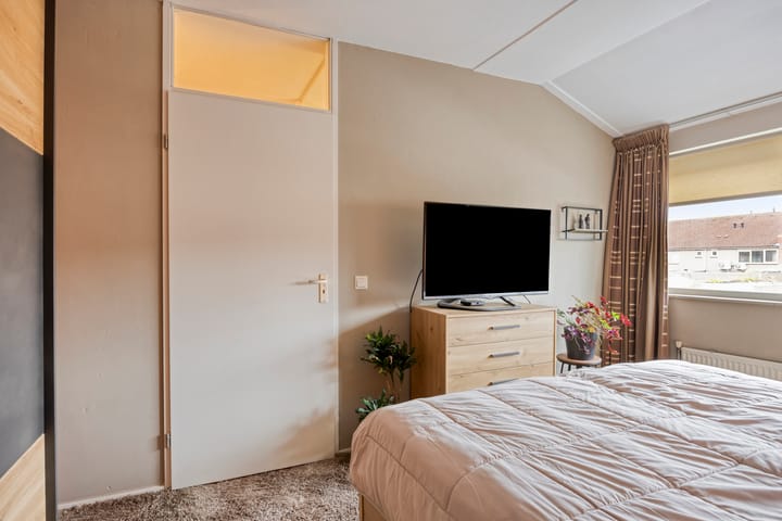 Photo 36 of Gelaarsde Kat 48