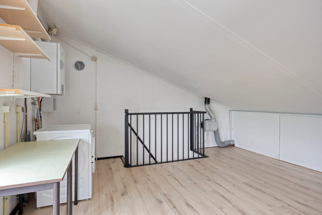 Photo 41 of Gelaarsde Kat 48