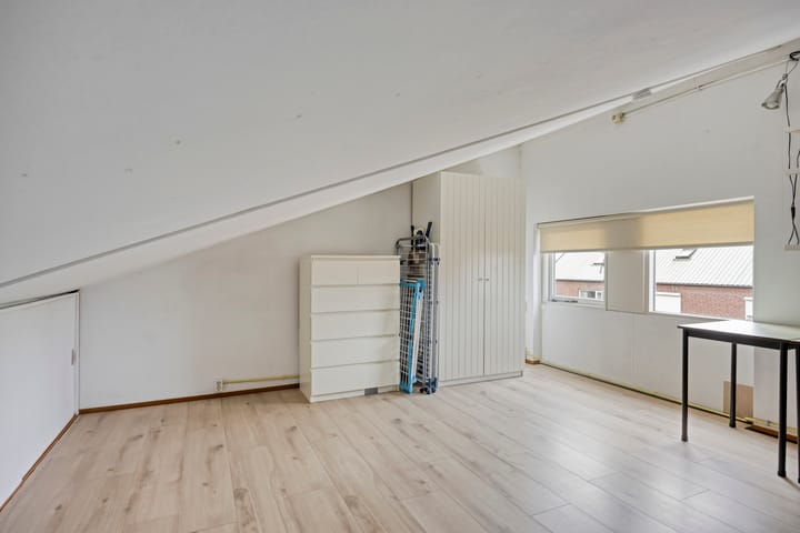 Photo 43 of Gelaarsde Kat 48