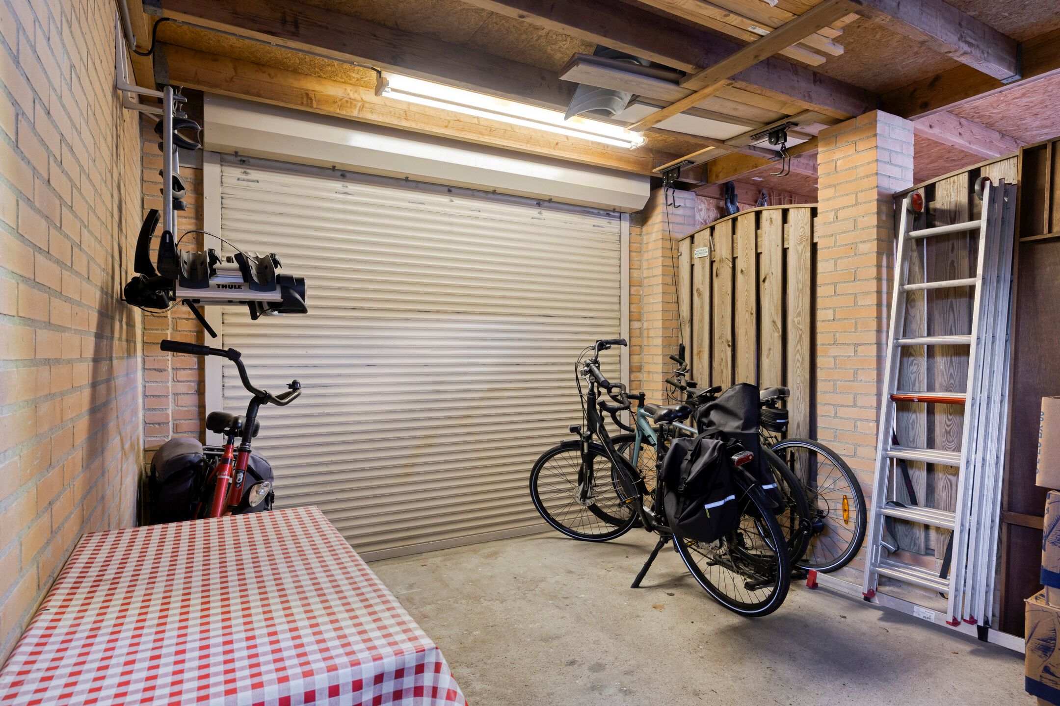 Photo 51 of Gelaarsde Kat 48